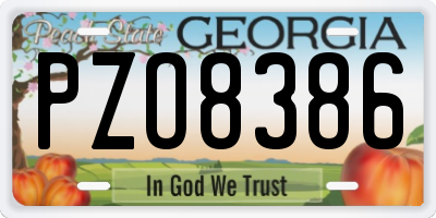 GA license plate PZO8386