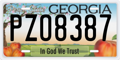 GA license plate PZO8387