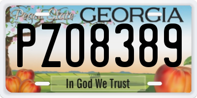 GA license plate PZO8389