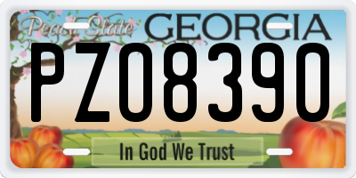 GA license plate PZO8390