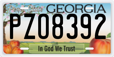 GA license plate PZO8392