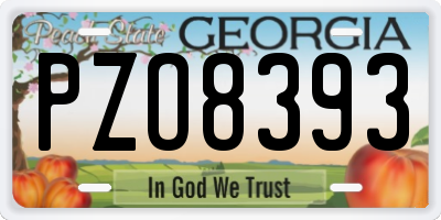 GA license plate PZO8393