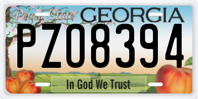 GA license plate PZO8394