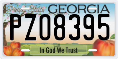 GA license plate PZO8395