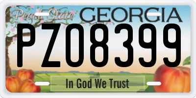 GA license plate PZO8399