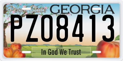 GA license plate PZO8413