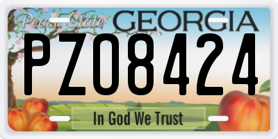 GA license plate PZO8424