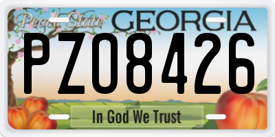 GA license plate PZO8426