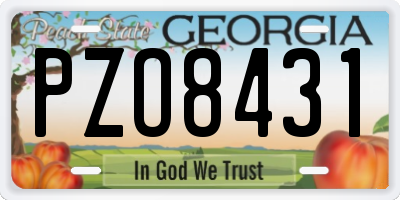 GA license plate PZO8431