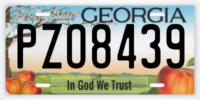 GA license plate PZO8439