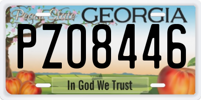 GA license plate PZO8446