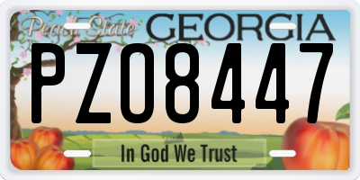 GA license plate PZO8447