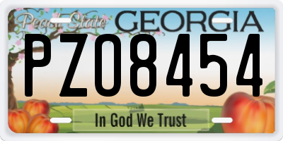 GA license plate PZO8454