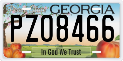 GA license plate PZO8466