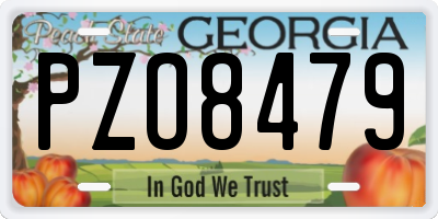 GA license plate PZO8479