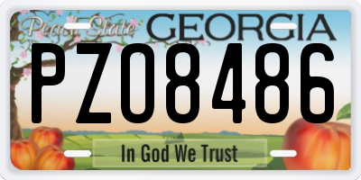 GA license plate PZO8486