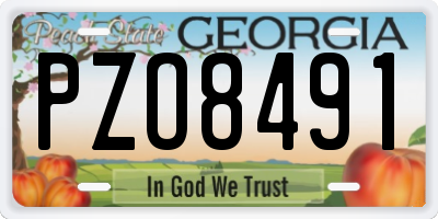 GA license plate PZO8491