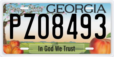 GA license plate PZO8493