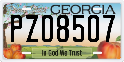 GA license plate PZO8507