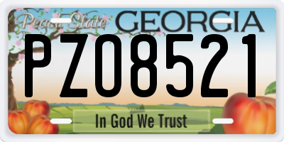 GA license plate PZO8521