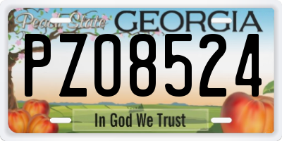 GA license plate PZO8524