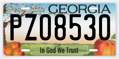 GA license plate PZO8530