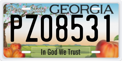 GA license plate PZO8531