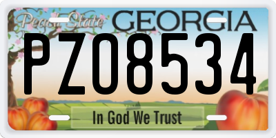 GA license plate PZO8534