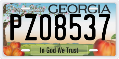 GA license plate PZO8537