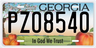 GA license plate PZO8540