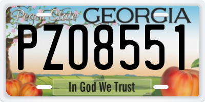 GA license plate PZO8551