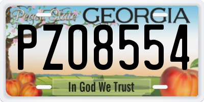 GA license plate PZO8554