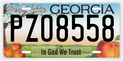 GA license plate PZO8558