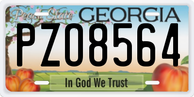 GA license plate PZO8564