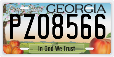 GA license plate PZO8566