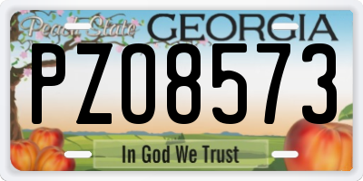 GA license plate PZO8573