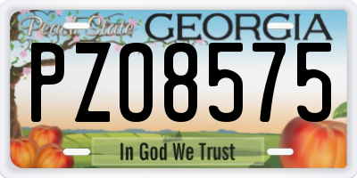 GA license plate PZO8575