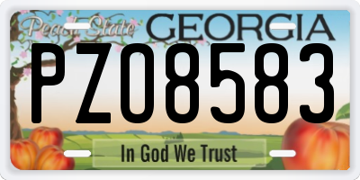 GA license plate PZO8583