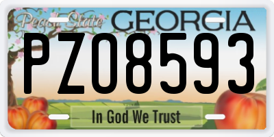 GA license plate PZO8593