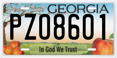 GA license plate PZO8601