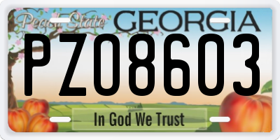 GA license plate PZO8603