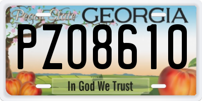 GA license plate PZO8610