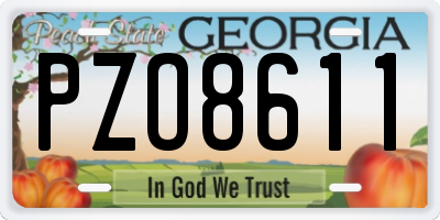GA license plate PZO8611
