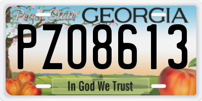 GA license plate PZO8613