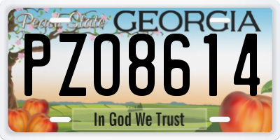 GA license plate PZO8614