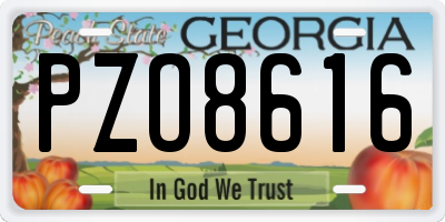 GA license plate PZO8616