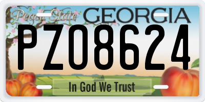 GA license plate PZO8624