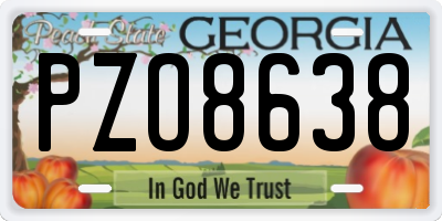 GA license plate PZO8638