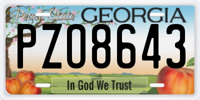 GA license plate PZO8643