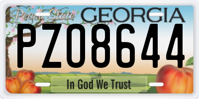 GA license plate PZO8644